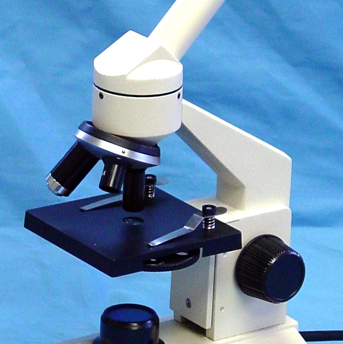 Lab Specimens KLM Bio Scientific