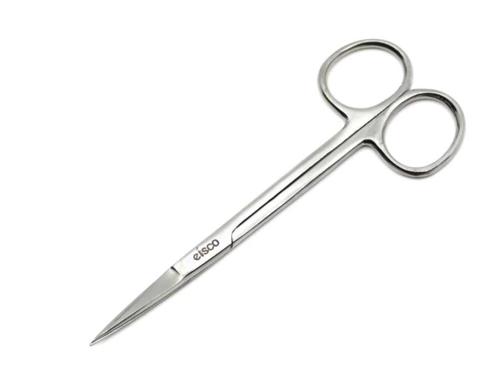 Dissecting Scissors, Fine Points, Closed Shanks, Stainless Steel, 6/PK