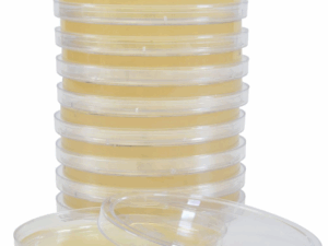 Nutrient Agar Plates (10 plates/PK)