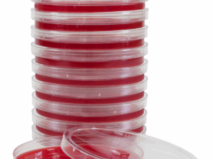 Blood Agar 5%, 15x100mm Plate, 19ml (10/PK)
