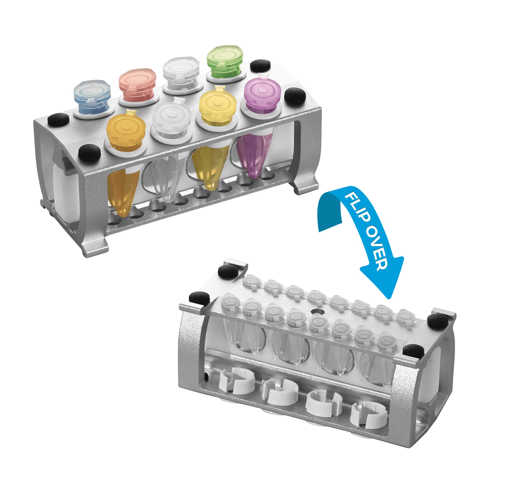 Magnetic Bead Separation Rack